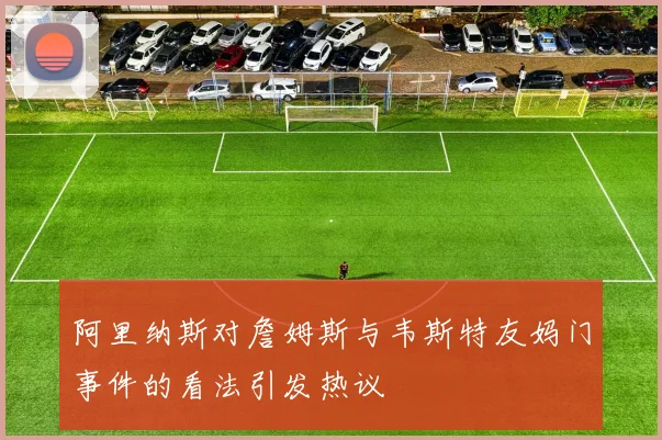 阿里纳斯对詹姆斯与韦斯特友妈门事件的看法引发热议