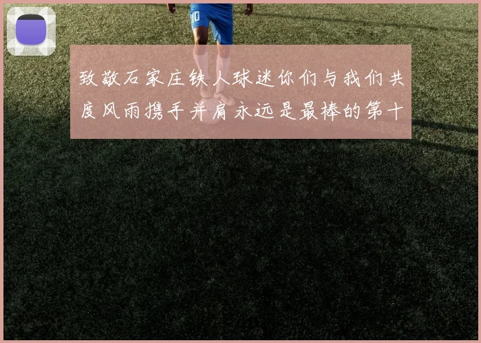 致敬石家庄铁人球迷你们与我们共度风雨携手并肩永远是最棒的第十二人