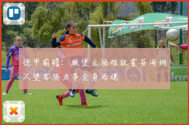 德甲前瞻：狼堡主场难敌霍芬海姆汉堡客场力争全身而退