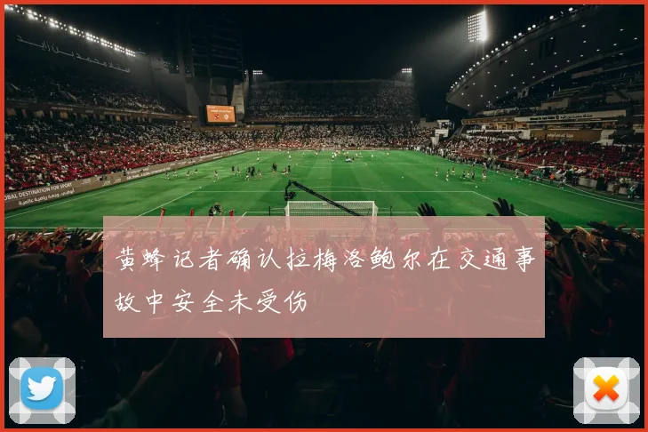 黄蜂记者确认拉梅洛鲍尔在交通事故中安全未受伤