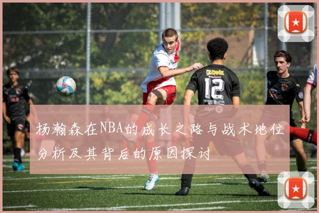 杨瀚森在NBA的成长之路与战术地位分析及其背后的原因探讨